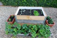 Das essbare Stadtgebiet Salzkotten