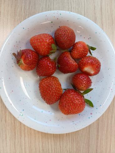 Erdbeeren