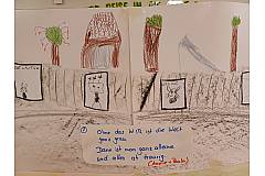 Bild